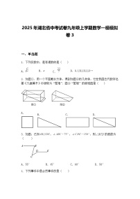 2025年湖北省中考试卷九年级上学期数学一模模拟卷3（含答案解析）