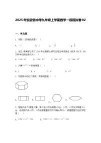 2025年安徽省中考九年级上学期数学一模模拟卷02（含答案解析）