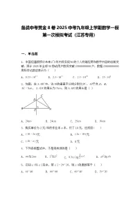 2025中考九年级上学期数学一模考试（江苏专用）（含答案解析）