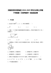 河南省郑州市管城区2024-2025学年九年级上学期下学期第一次联考数学一模试题试卷（含答案解析）