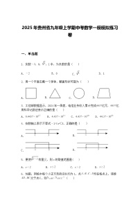 2025年贵州省九年级上学期中考数学一模模拟练习卷（含答案解析）