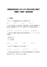 河南省郑州市东区2024-2025学年九年级上学期下学期第一次数学一模试题试卷（含答案解析）