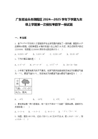广东省汕头市潮阳区2024—2025学年下学期九年级上学期第一次模拟考数学一模试题（含答案解析）