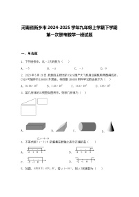 河南省新乡市2024-2025学年九年级上学期下学期第一次联考数学一模试题（含答案解析）