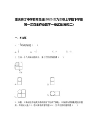 重庆育才中学教育集团2025年九年级上学期下学期第一次自主作业数学一模试题(模拟二)（含答案解析）