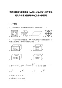 江西省赣州市南康区第十中学2024-2025学年下学期九年级上学期模拟考试数学一模试题（含答案解析）