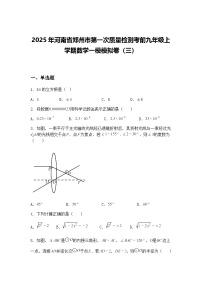 2025年河南省郑州市第一次质量检测考前九年级上学期数学一模模拟卷（三）（含答案解析）