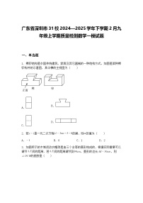 广东省深圳市31校2024—2025学年下学期2月九年级上学期质量检测数学一模试题（含答案解析）