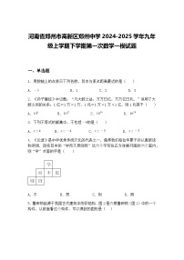 河南省郑州市高新区郑州中学2024-2025学年九年级上学期下学期第一次数学一模试题（含答案解析）