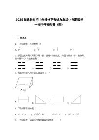 2025年湖北省初中学业水平考试九年级上学期数学一模中考模拟卷（四）（含答案解析）