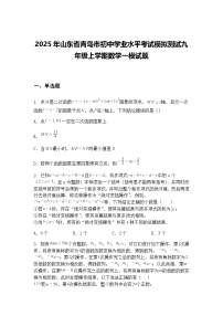 2025年山东省青岛市初中学业水平考试模拟测试九年级上学期数学一模试题（含答案解析）
