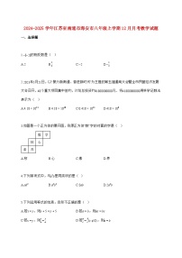 2024_2025学年江苏省南通市海安市八年级上册（12月）月考数学试题【附答案】