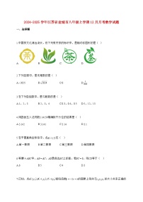2024_2025学年江苏省盐城市八年级上册（12月）月考数学试题【附答案】