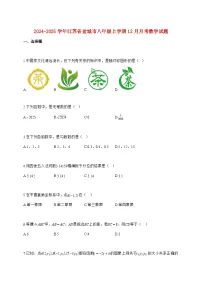 2024_2025学年江苏省盐城市八年级上册（12月）月考数学试题【附答案】