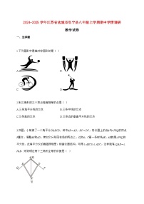 2024_2025学年江苏省盐城市阜宁县八年级上册期中学情调研数学试题【附答案】