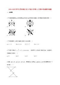 2024_2025学年江苏省镇江市八年级上册（11月）期中考试数学试题【附答案】