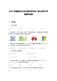 2025年湖南省长沙市华益中学中考二模九年级下学期数学试卷（含答案解析）
