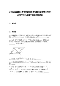 2025年黑龙江省齐齐哈尔市依安县依安县第三中学中考二模九年级下学期数学试题（含答案解析）