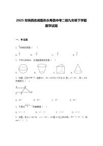 2025年陕西省咸阳市永寿县中考二模九年级下学期数学试题（含答案解析）