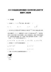 2025年安徽省合肥市第四十五中学中考九年级下学期数学二模试卷（含答案解析）