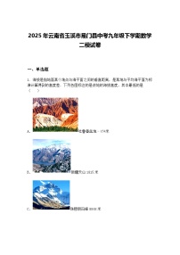 2025年云南省玉溪市易门县中考九年级下学期数学二模试卷（含答案解析）