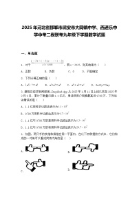 2025年河北省邯郸市武安市大同镇中学、西通乐中学中考二模联考九年级下学期数学试题（含答案解析）