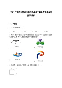 2025年山西省阳泉市平定县中考二模九年级下学期数学试卷（含答案解析）