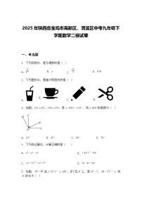 2025年陕西省宝鸡市高新区、渭滨区中考九年级下学期数学二模试卷（含答案解析）