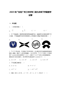 2025年广东省广州三中中考二模九年级下学期数学试卷（含答案解析）