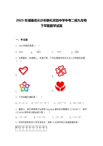 2025年湖南省长沙市雅礼实验中学中考二模九年级下学期数学试题（含答案解析）