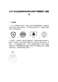 2025年山东省潍坊市中考九年级下学期数学二模练习（含答案解析）