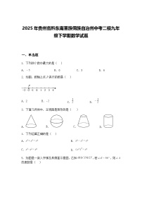 2025年贵州省黔东南苗族侗族自治州中考二模九年级下学期数学试题（含答案解析）