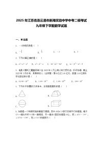 2025年江苏省连云港市新海实验中学中考二模考试九年级下学期数学试题（含答案解析）