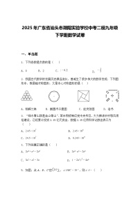 2025年广东省汕头市潮阳实验学校中考二模九年级下学期数学试卷（含答案解析）