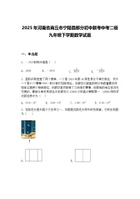 2025年河南省商丘市宁陵县部分初中联考中考二模九年级下学期数学试题（含答案解析）