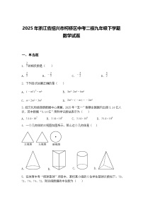 2025年浙江省绍兴市柯桥区中考二模九年级下学期数学试题（含答案解析）