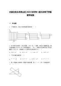 内蒙古包头市青山区2025年中考二模九年级下学期数学试题（含答案解析）