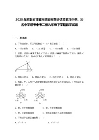 2025年河北省邯郸市武安市贺进镇翟家庄中学、沙名中学联考中考二模九年级下学期数学试题（含答案解析）