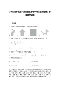 2025年广东省广州市第五中学中考二模九年级下学期数学试题（含答案解析）