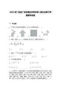 2025年广东省广州市第五中学中考二模九年级下学期数学试题(含答案解析)