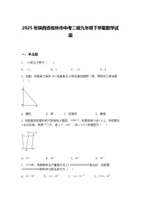 2025年陕西省榆林市中考二模九年级下学期数学试题（含答案解析）
