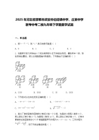 2025年河北省邯郸市武安市伯延镇中学、庄宴中学联考中考二模九年级下学期数学试题（含答案解析）