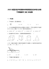 2025年四川省泸州高级中学教育联合校中考九年级下学期数学二模二诊试卷（含答案解析）