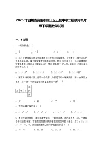 2025年四川省资阳市雁江区五校中考二模联考九年级下学期数学试题（含答案解析）