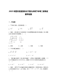 2025年四川省宜宾市长宁县九年级下中考二模考试数学试题（含答案解析）