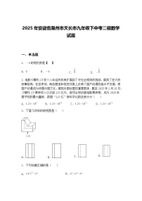 2025年安徽省滁州市天长市九年级下中考二模数学试题（含答案解析）