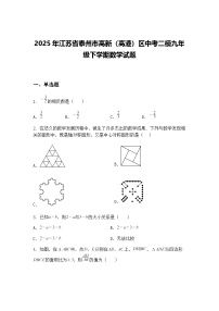 2025年江苏省泰州市高新（高港）区中考二模九年级下学期数学试题（含答案解析）