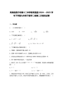 青海省西宁市第十二中学教育集团2024---2025学年下学期九年级下数学二模第二次模拟试卷（含答案解析）