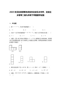 2025年河北省邯郸市武安市北安乐乡中学、北安庄乡联考二模九年级下学期数学试题（含答案解析）