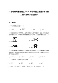 广东省惠州市惠阳区2025年中毕业生学业水平测试二模九年级下学期数学（含答案解析）